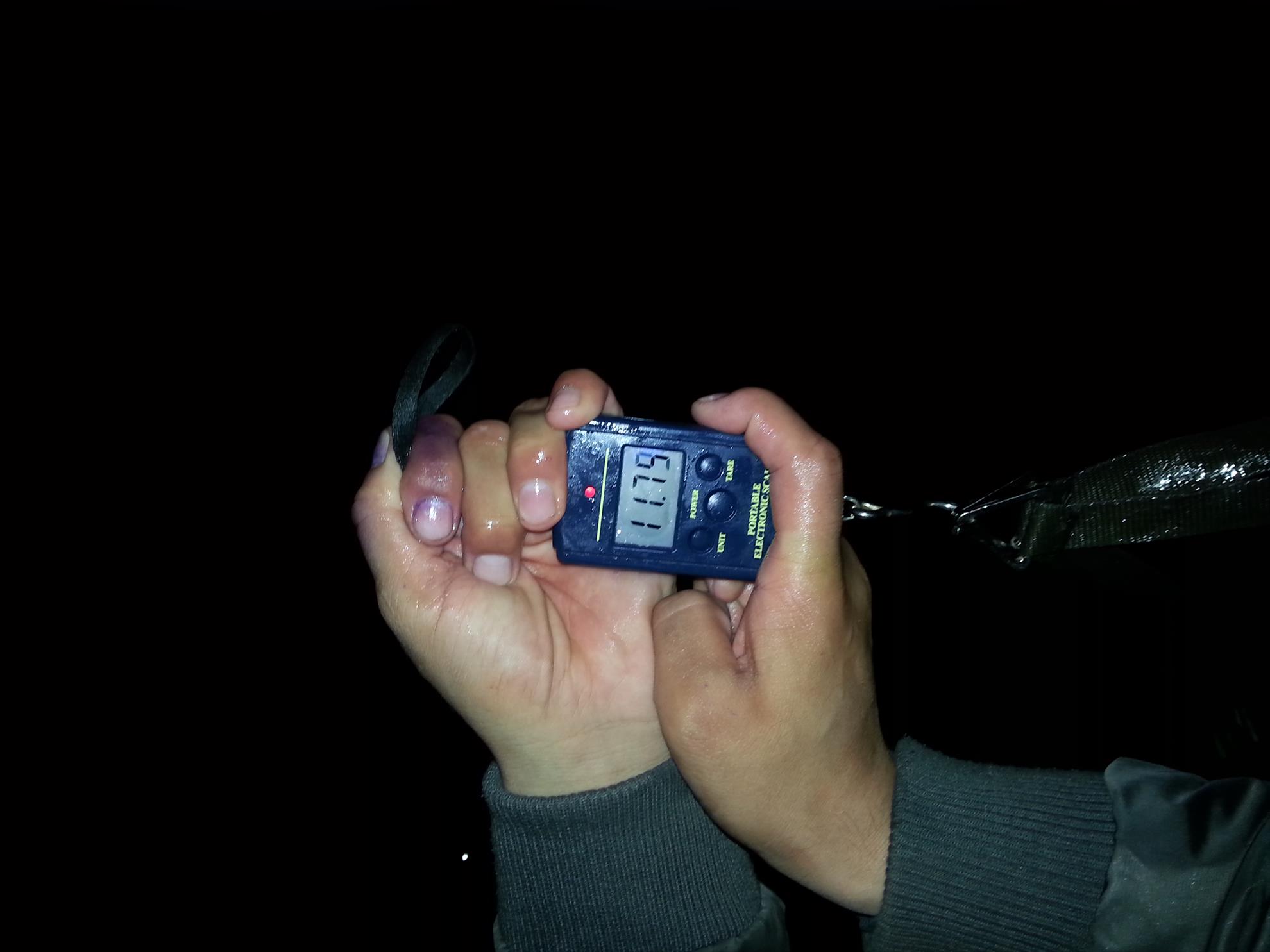 Moara Vlasiei 2 21 - 22 aprilie 2016 - 20160421214219.jpg